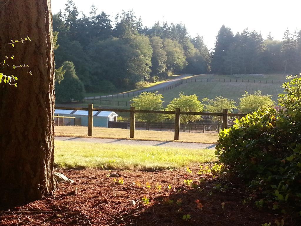 Wildwood Farm Bed & Breakfast Oak Harbor Extérieur photo