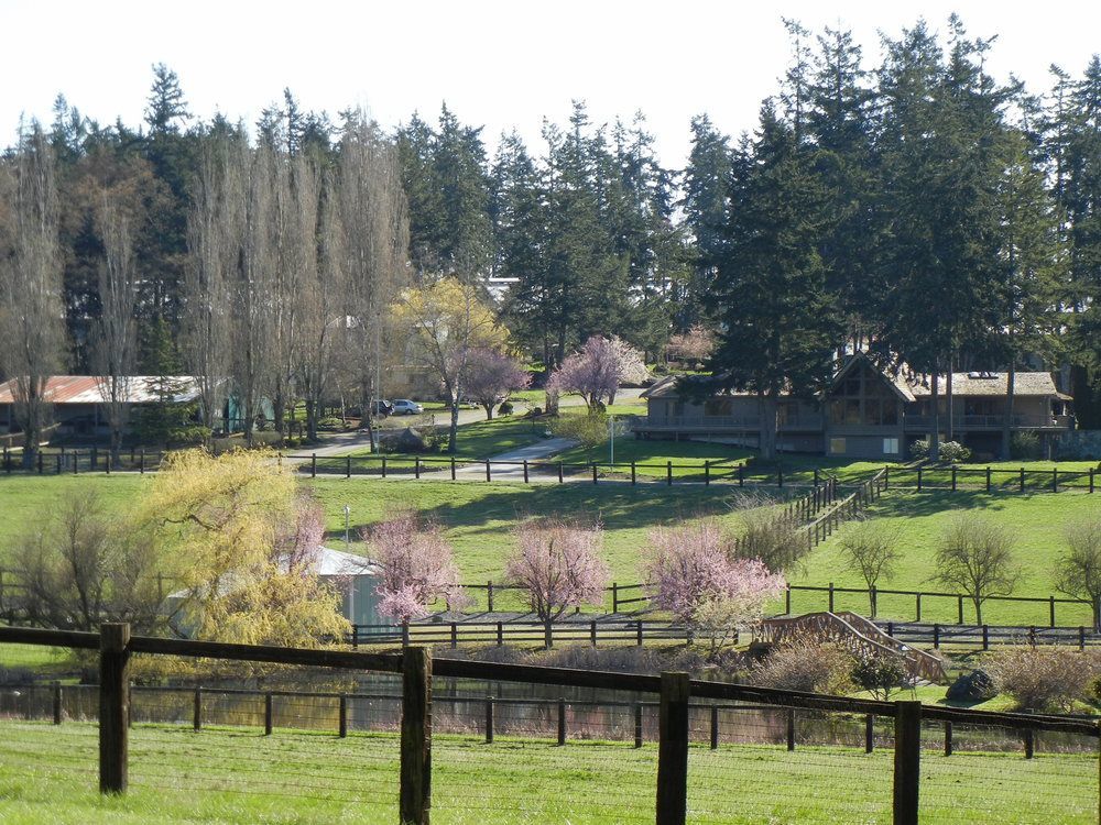 Wildwood Farm Bed & Breakfast Oak Harbor Extérieur photo